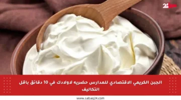 الجبن الكريمي الاقتصادي للمدارس حضريه لأولادك في 10 دقائق بأقل التكاليف